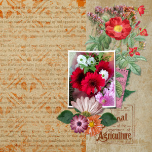 bouquet of flowers