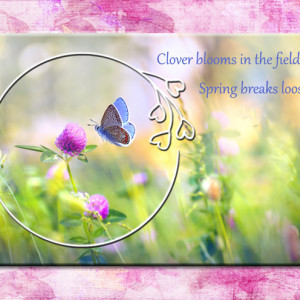 Clover