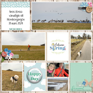 April-24 Scraplift