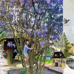 Wisteria-lp