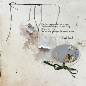 230331_blackbird