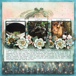Resident-Frogs