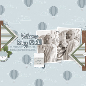Welcome Baby Rhett