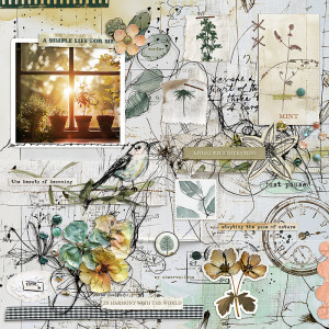 Tempus Collage