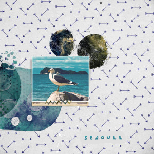 Seagull