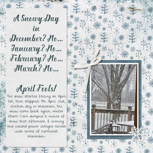 A Snowy Day