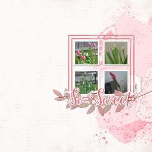 April-2024-Lynn-Grieveson-Challenge