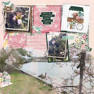 Spring Blooms