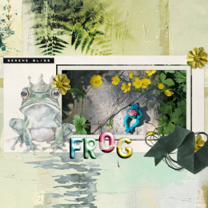 240413_frog