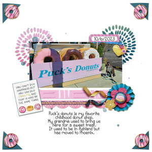 Pucks-Donuts