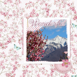 240316_magnolia Mountain