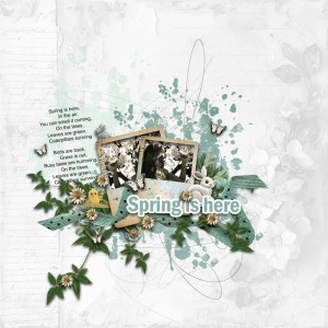 Spring