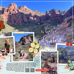 041924_ad_bloom_scc_800