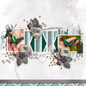 SOSN_apr24_RJ_JJD_Bold Butterfly