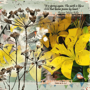 Spring-Has-Sprung-at-Long-Last