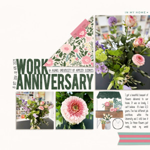 Work Anniversary - 12,5 Years