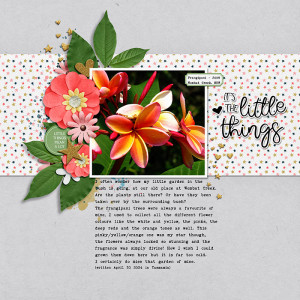 LITTLE THINGS