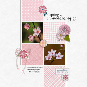 April 2024 Random Challenge