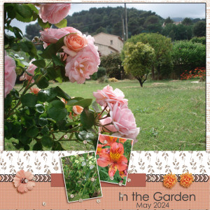 Today in the garden