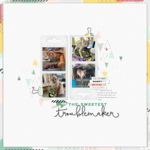Troublemaker