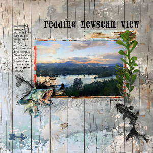 2024-Slow-Scrap-View-from-Newscam