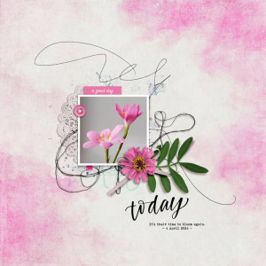 iNSD Slow Scrap Fri 5/3 at 2PM