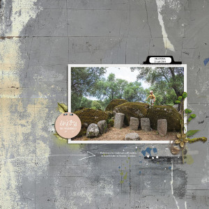 24-05_TLP_iNSD-Slow-Scrap
