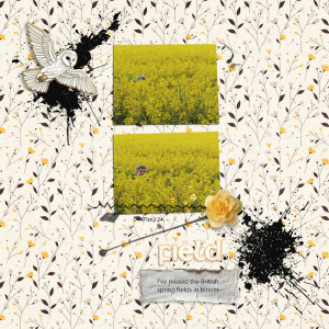 240504_Mil Field