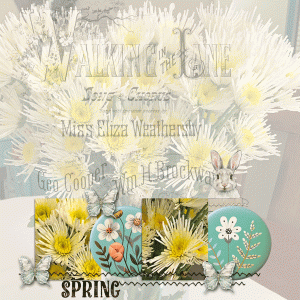 TemplateChallenge_May_janisn
