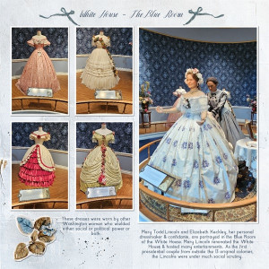White House - The Blue Room