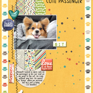Cute-Passenger