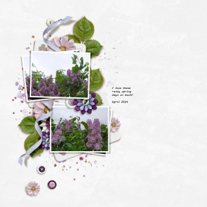 iNSD Slow Scrap Mon 5/6 at 8PM