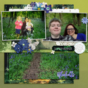 240504_bluebells
