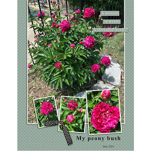May2024 - Dunia-Challenge_flowersgal_sq_web