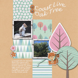 KJensen May Challenge_janisn