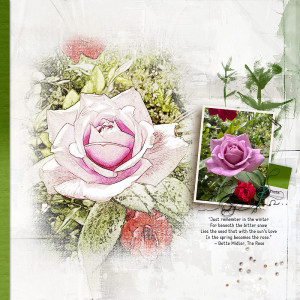 The Rose