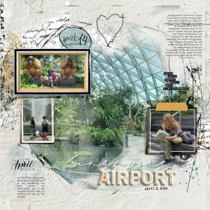 Singapore Airport