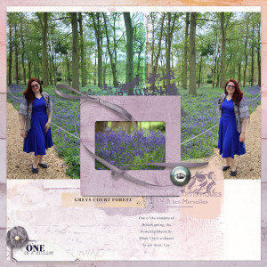 240504_bluebell OP