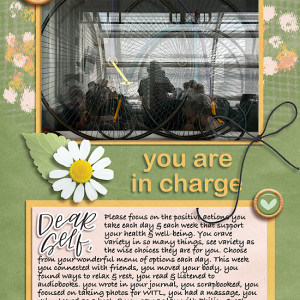 you are in charge