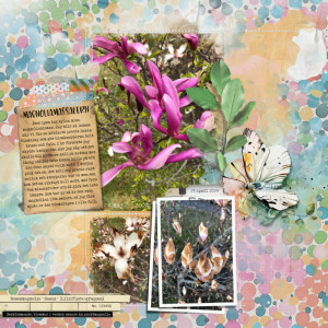 Magnolia massacre