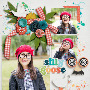 FF_may24_BG_SwL_Silly Goose