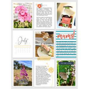 Week 27a 2023