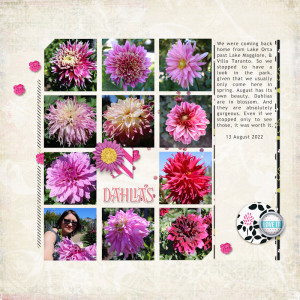 220813_Dahlia