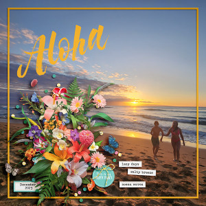 2023_12_Aloha