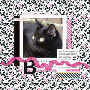 240512_Bella Binky