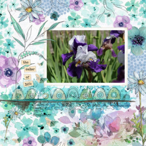 Inspiration Challenge May 2024
