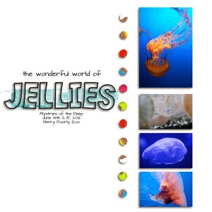 jellies