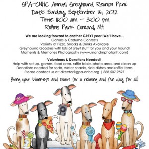 Greyhound Reunion Picnic