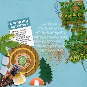 Camping Musings
