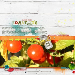 Tomatoes